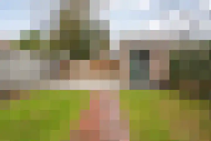 Weegbree 32 Nieuwleusen thumbnail 45