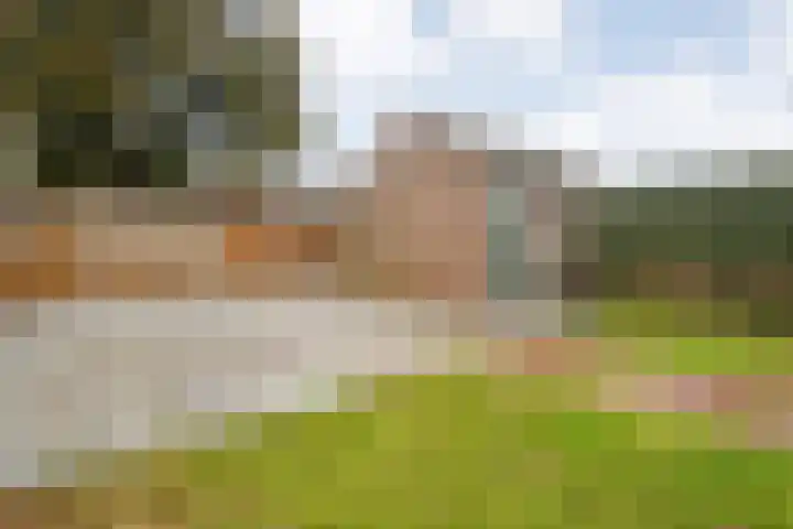 Weegbree 32 Nieuwleusen thumbnail 46