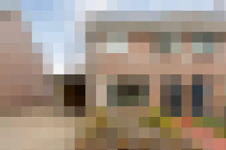 Weegbree 32 Nieuwleusen thumbnail 5