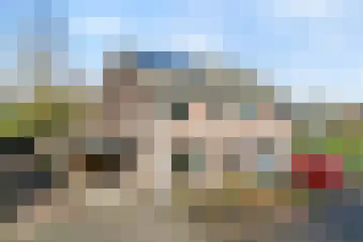 Weegbree 32 Nieuwleusen thumbnail 6