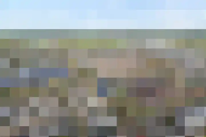 Weegbree 32 Nieuwleusen thumbnail 7