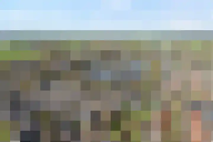 Weegbree 32 Nieuwleusen thumbnail 8