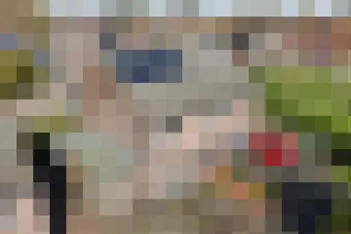 Weegbree 32 Nieuwleusen thumbnail 9
