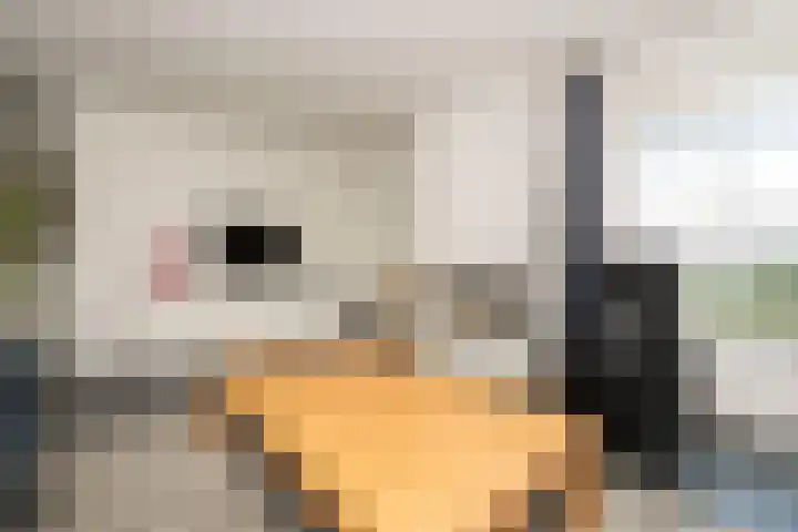 Weegbree 32 Udenhout thumbnail 13