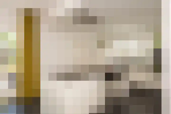 Weegbree 32 Udenhout thumbnail 16