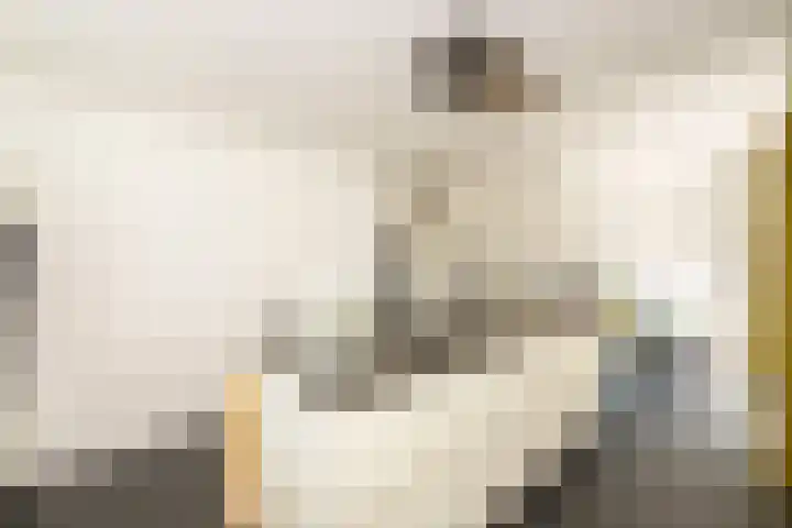Weegbree 32 Udenhout thumbnail 17