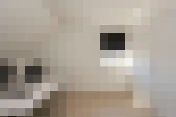 Weegbree 32 Udenhout thumbnail 25