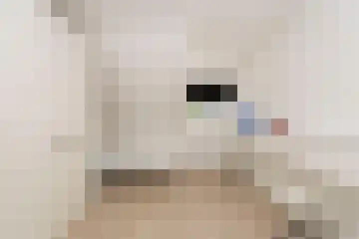 Weegbree 32 Udenhout thumbnail 26