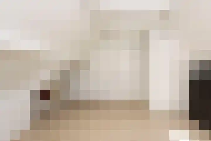 Weegbree 32 Udenhout thumbnail 32