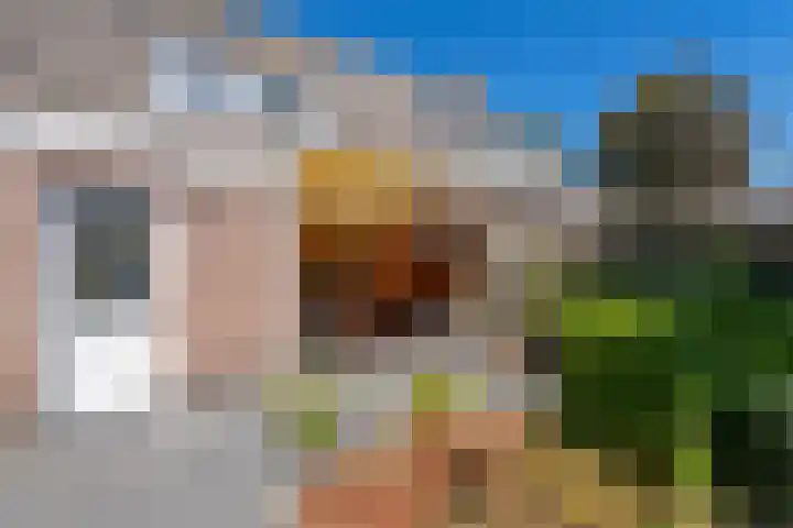 Weegbree 32 Udenhout thumbnail 35