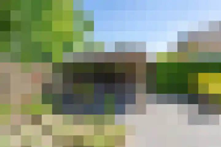 Weegbree 32 Udenhout thumbnail 36