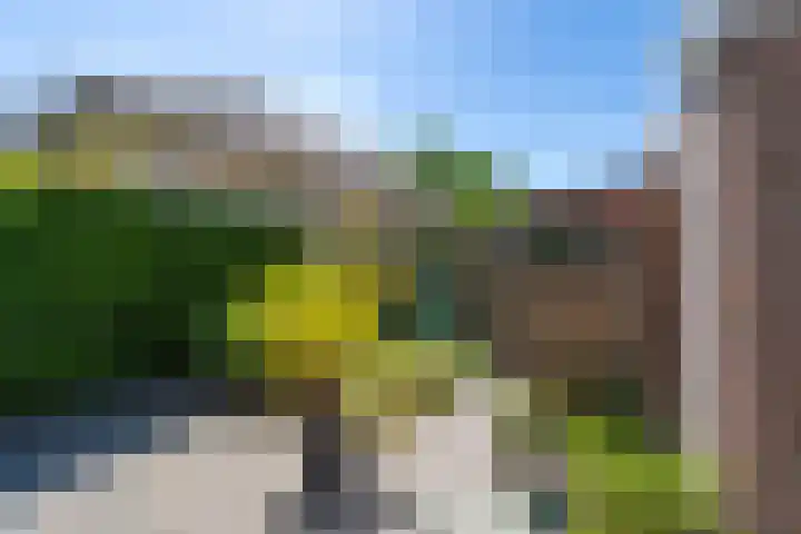 Weegbree 32 Udenhout thumbnail 39