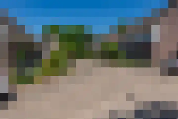 Weegbree 32 Udenhout thumbnail 43
