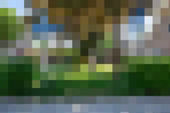 Weegbree 32 Udenhout thumbnail 44