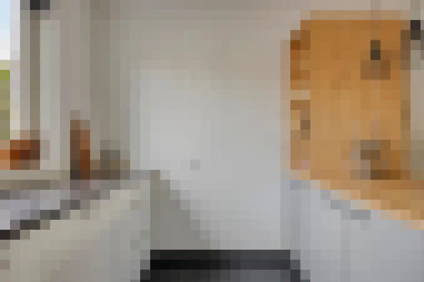 Weegbree 33 Alphen thumbnail 10