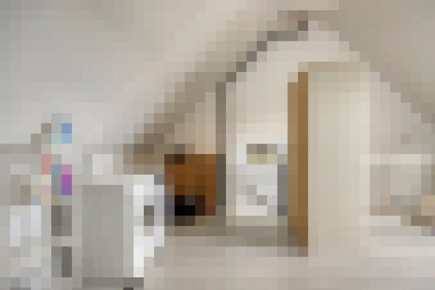 Weegbree 33 Alphen thumbnail 19