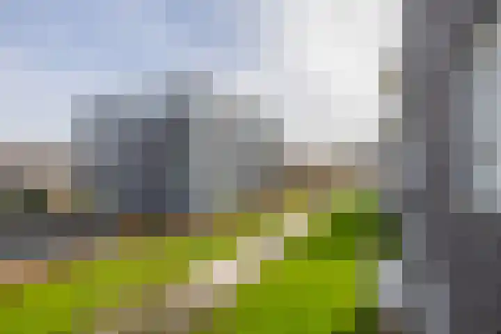 Weegbree 34 Havelte thumbnail 19