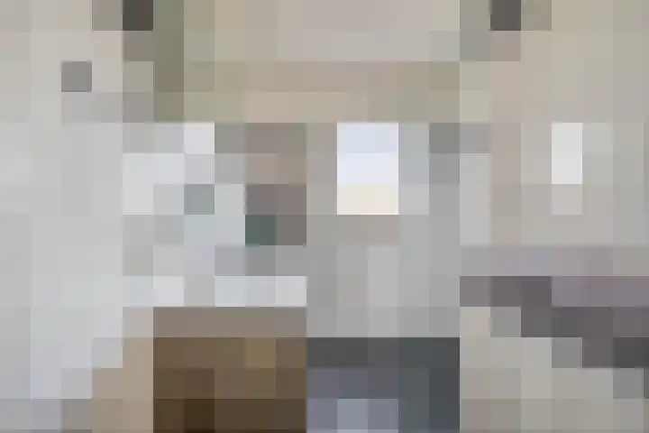 Weegbree 34 Havelte thumbnail 26