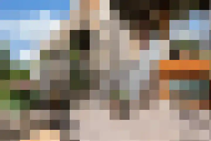 Weegbree 35 Heerhugowaard thumbnail 37