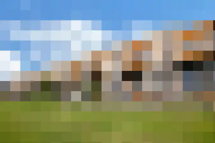 Weegbree 35 Heerhugowaard thumbnail 39