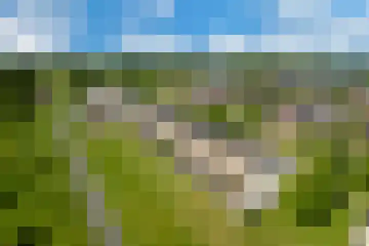 Weegbree 35 Heerhugowaard thumbnail 42