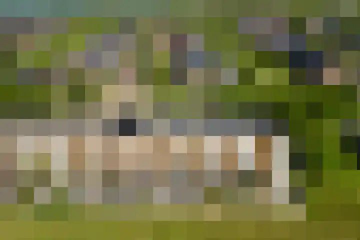 Weegbree 35 Heerhugowaard thumbnail 43