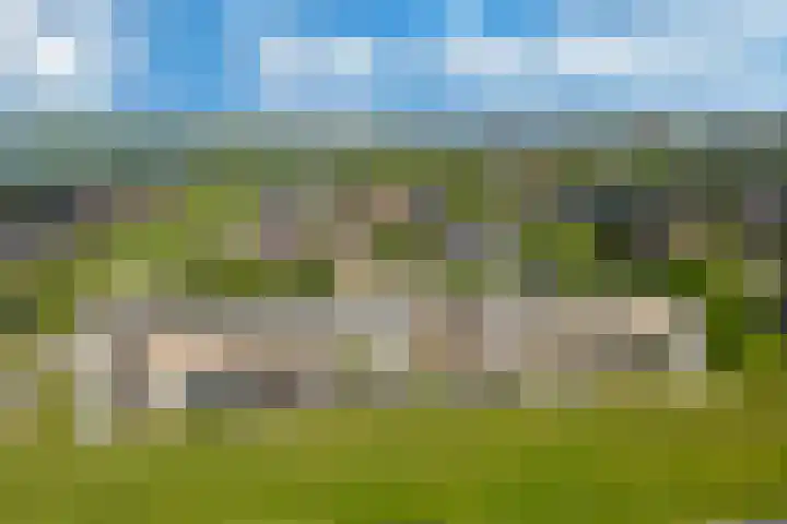 Weegbree 35 Heerhugowaard thumbnail 44
