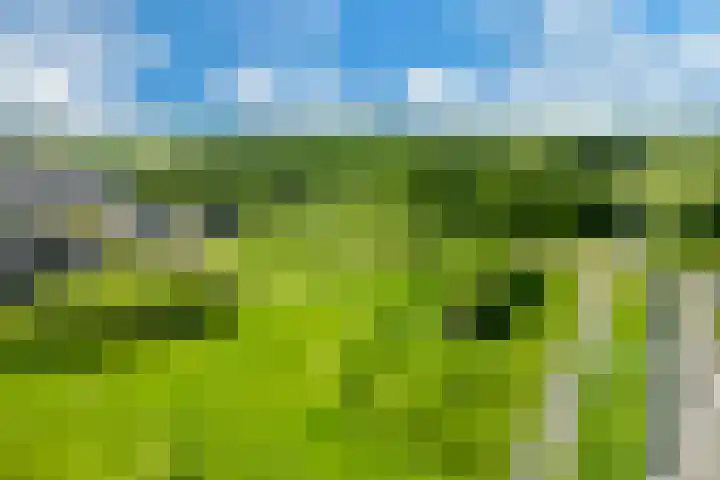 Weegbree 35 Heerhugowaard thumbnail 46