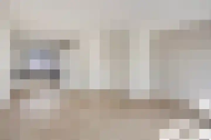 Weegbree 35 Zetten thumbnail 12