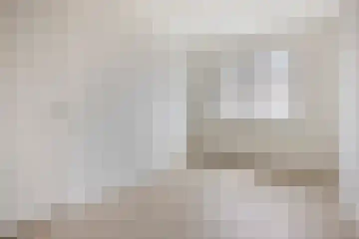 Weegbree 35 Zetten thumbnail 18