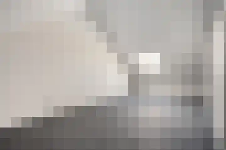 Weegbree 35 Zetten thumbnail 25