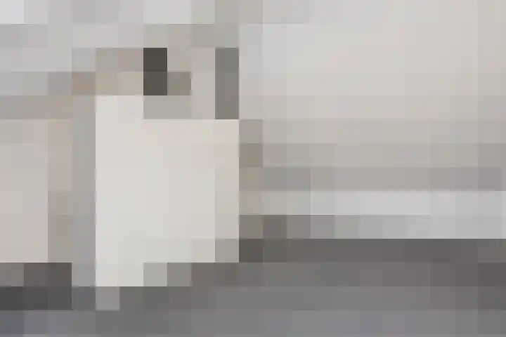Weegbree 35 Zetten thumbnail 26