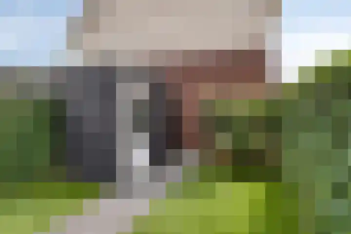 Weegbree 35 Zetten thumbnail 29