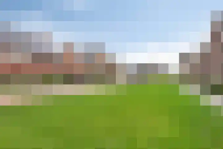 Weegbree 35 Zetten thumbnail 32