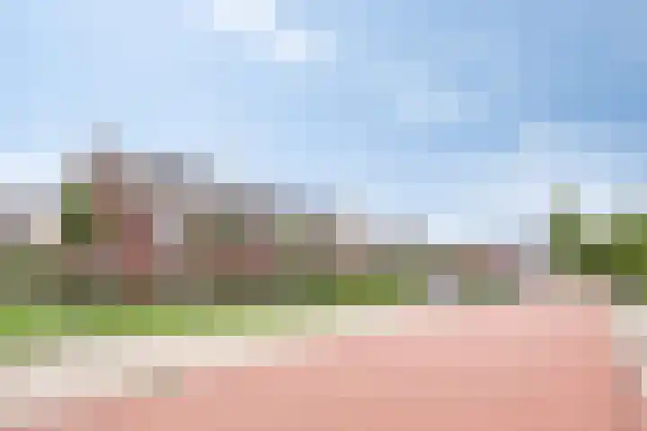 Weegbree 35 Zetten thumbnail 33