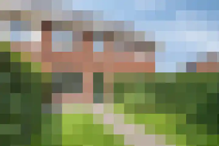 Weegbree 35 Zetten thumbnail 4