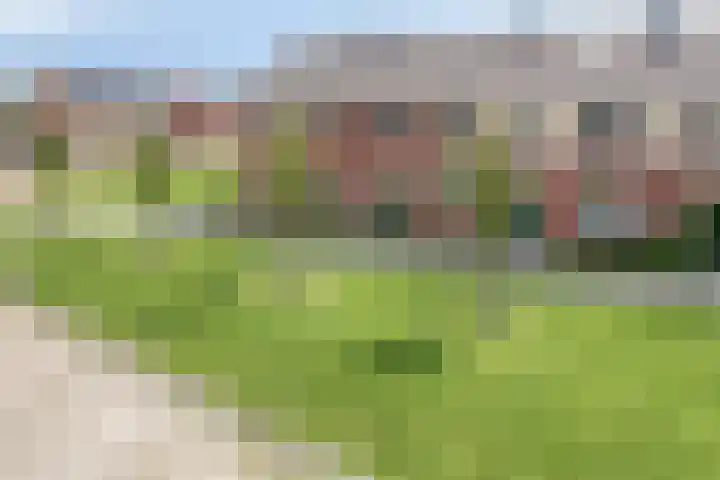 Weegbree 35 Zetten thumbnail 5