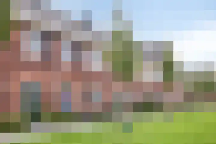 Weegbree 35 Zetten thumbnail 6
