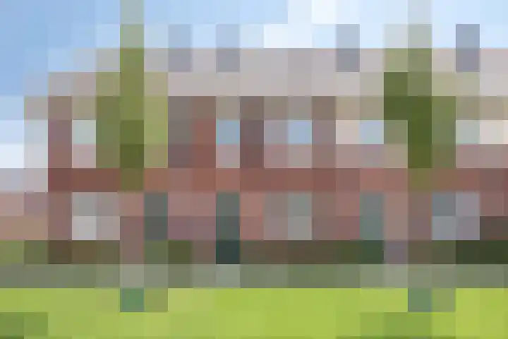 Weegbree 35 Zetten thumbnail 7