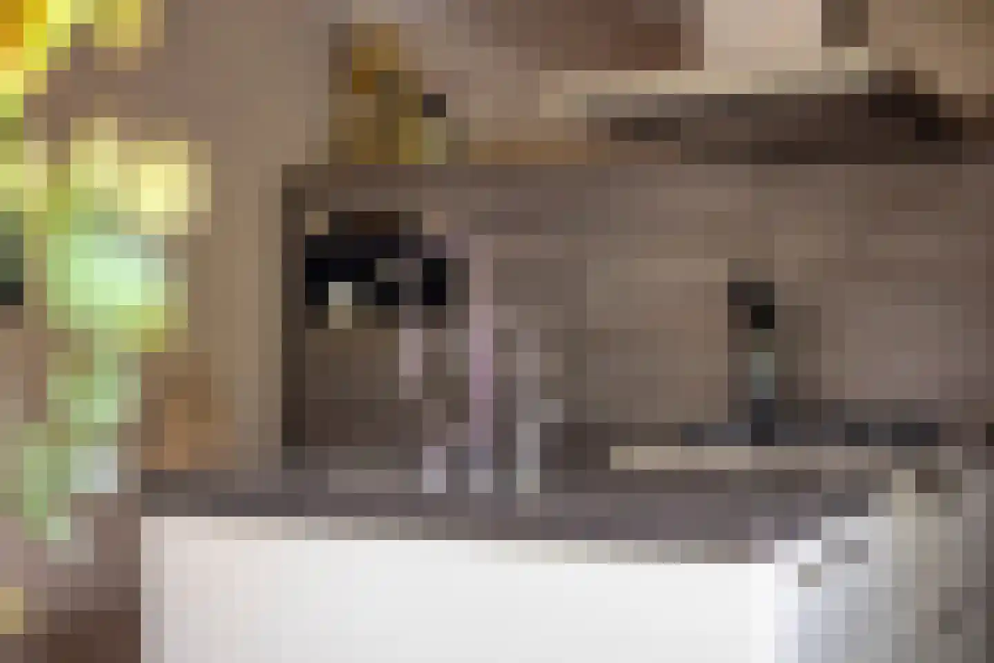 Weegbree 37 Wijchen thumbnail 21
