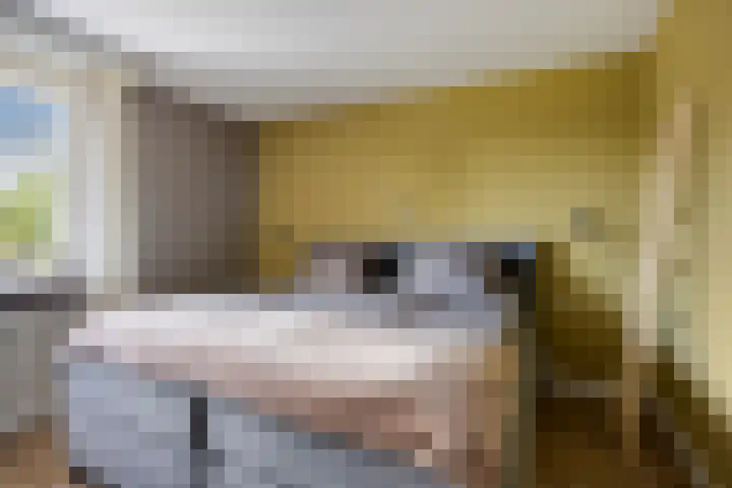 Weegbree 37 Wijchen thumbnail 23
