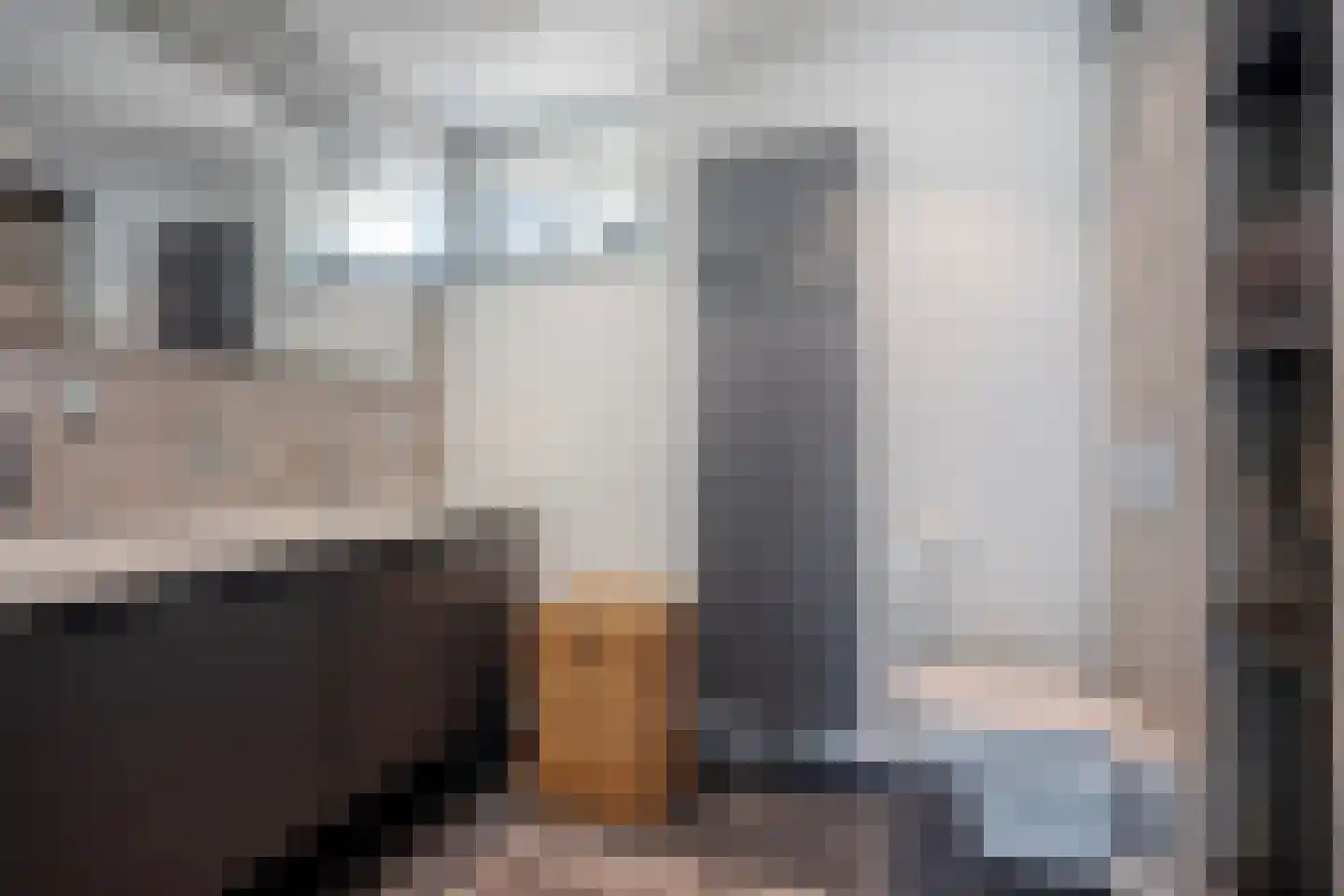 Weegbree 37 Wijchen thumbnail 26