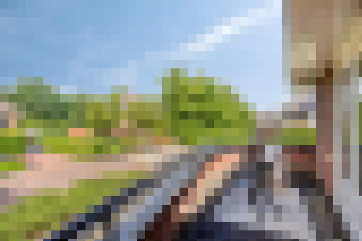 Weegbree 37 Wijchen thumbnail 29