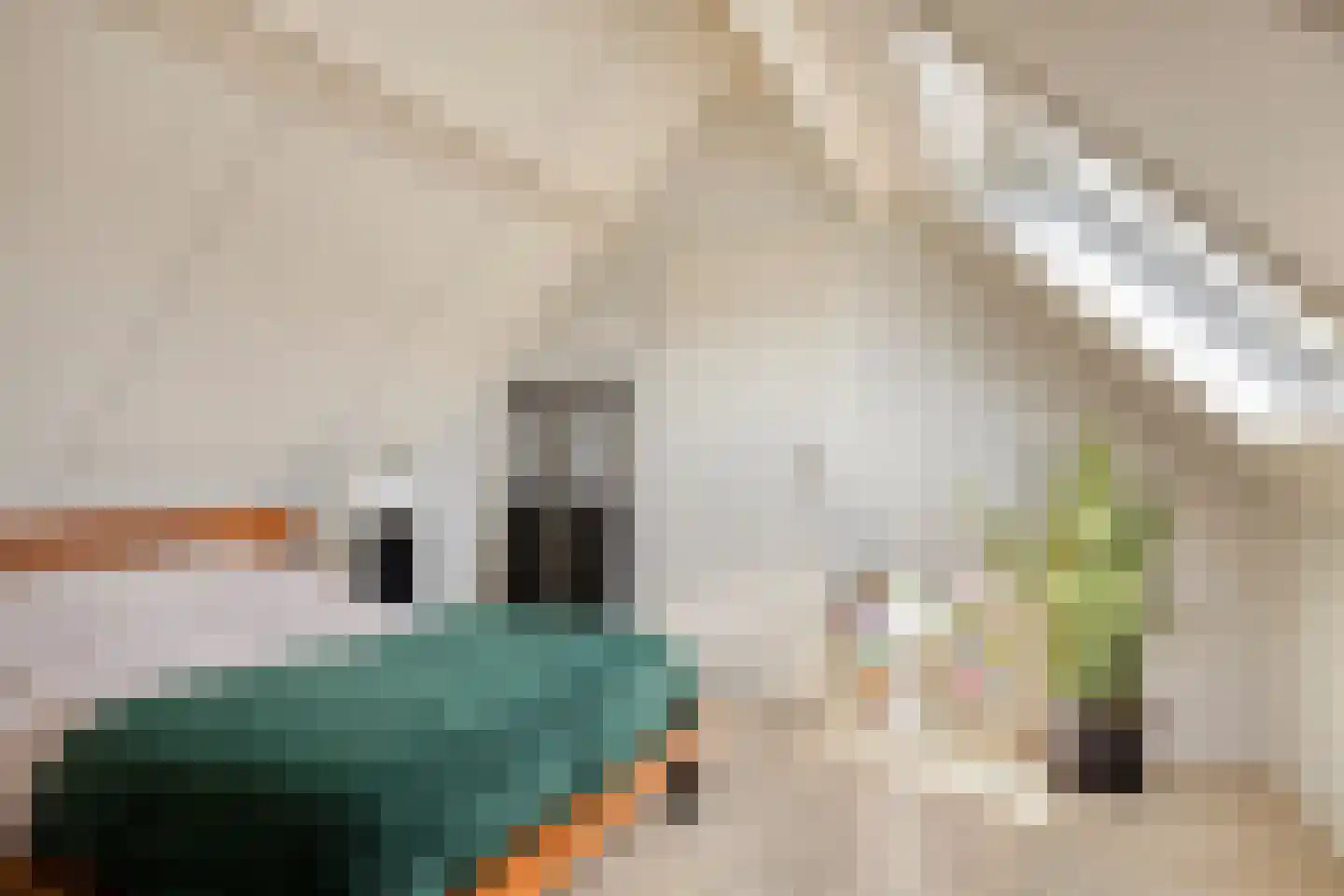 Weegbree 37 Wijchen thumbnail 36