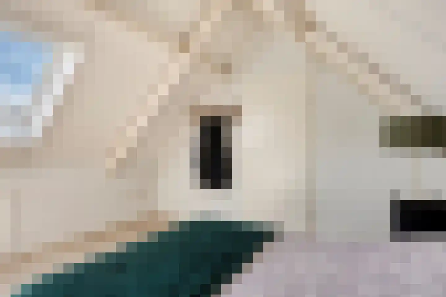 Weegbree 37 Wijchen thumbnail 37