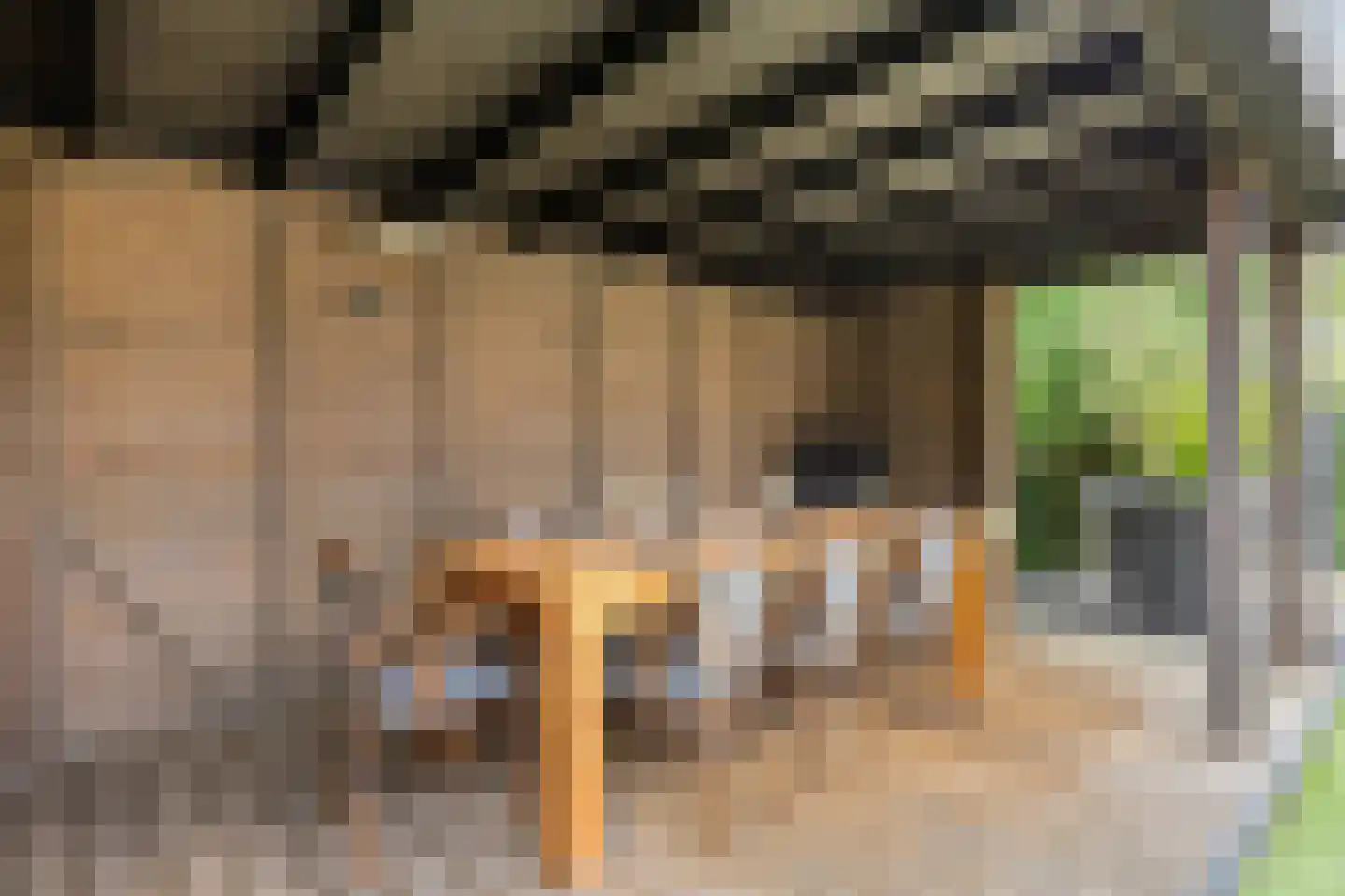 Weegbree 37 Wijchen thumbnail 38