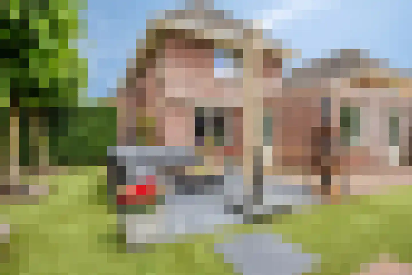 Weegbree 37 Wijchen thumbnail 41