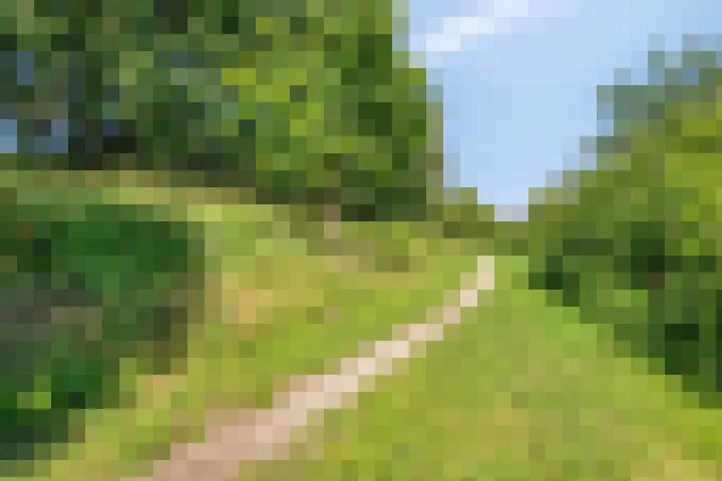 Weegbree 37 Wijchen thumbnail 44