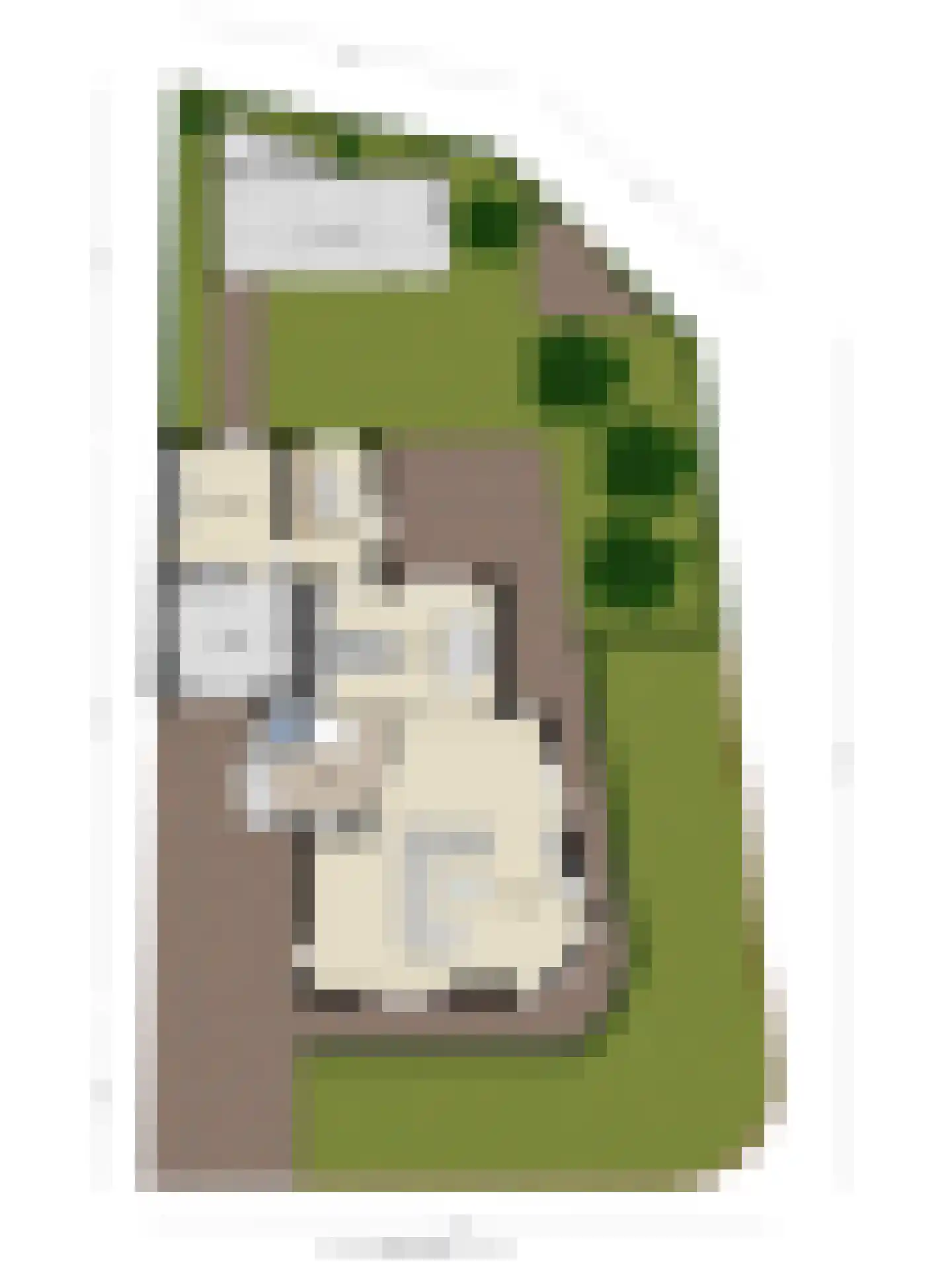 Weegbree 37 Wijchen thumbnail 46