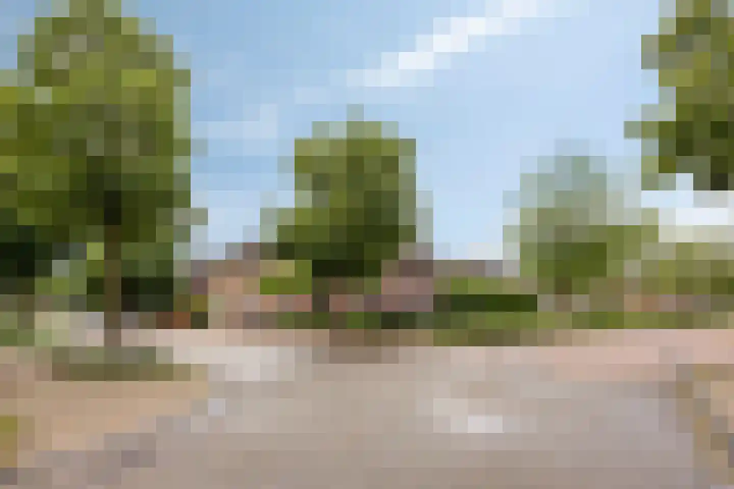 Weegbree 37 Wijchen thumbnail 8